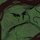 Illustration for article titled You Can Use Google Maps to Find Faces Hidden in the Earth
